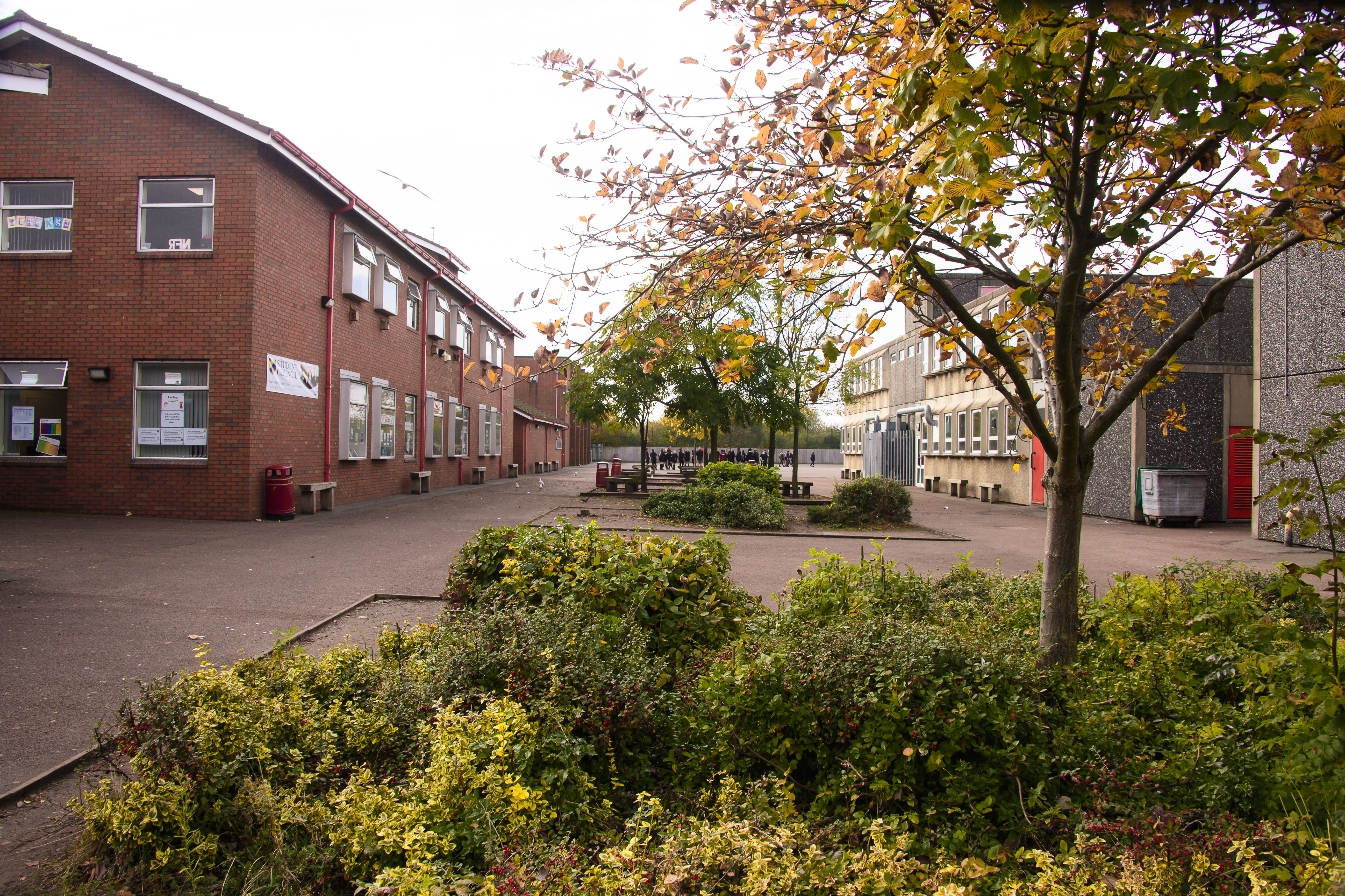 Half-term holiday: Monday 16 February to Friday 20 February 2026