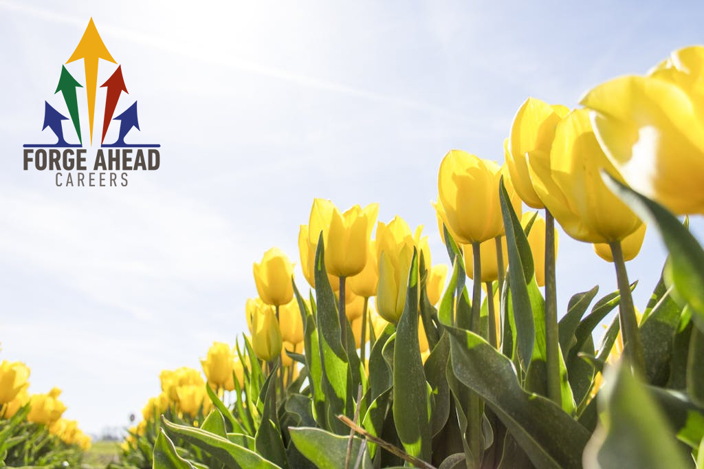 OFA Careers Header