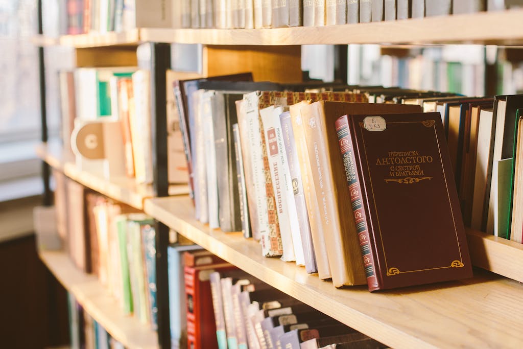Close-up view of books on a sunlit library shelf, illustrating warmth and knowledge.