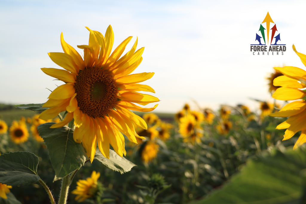 Careers Summer Newsletter Header
