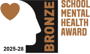School Mental Health Award, Bronze