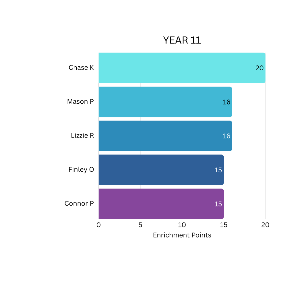 Year 11 Enrichment