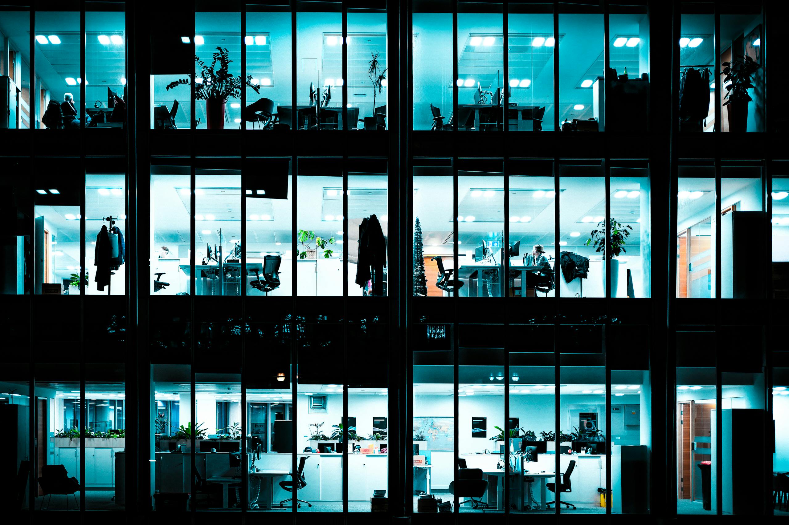 Year 12 Work Experience week